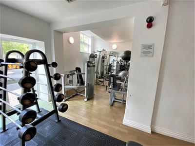 Picture 14